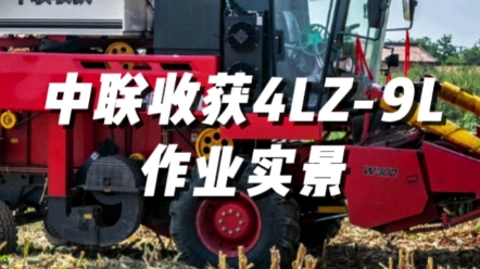 中聯收獲新疆9L（4LZ-9L）作業實景